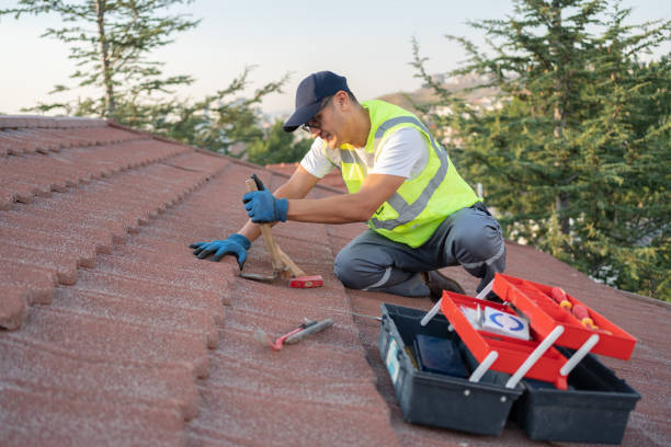 Best Roof Restoration Services  in Harbison Nyon, CA