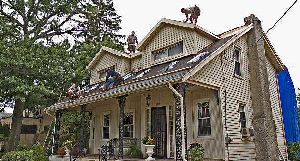 Best Gutter Installation and Roofing  in Harbison Nyon, CA