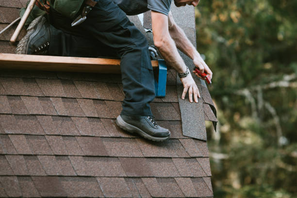 Roof Gutter Cleaning in Harbison Canyon, CA